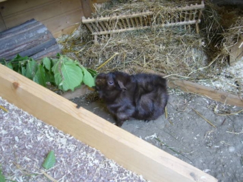 31Mai2010 226 [400x266]