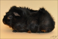 After Eight2 [200x133]