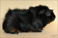 Always on my mind2 [200x133]