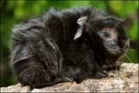 Always on my mind (2) [200x133]