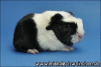 Awkward Affiar (2) [320x200] [200x133]