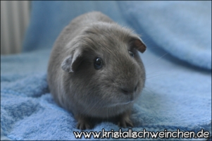 Beautiful Sin (2) [320x200]