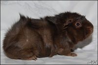 Call Me Irresponsible1 [400x266] [200x133]