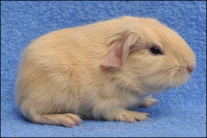 Can't answer you (2) [320x200]