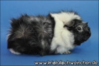 Classic Pleasure3 [200x133]