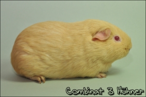 Cremeluse2 [320x200]