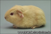 DSC_5976 [320x200] [200x133]