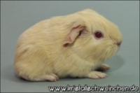 DSC_5998 [320x200] [200x133]