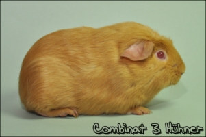 Dirty Bit1 [320x200]