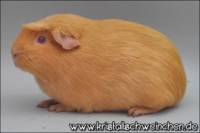 Dirty Bit2 [200x133]