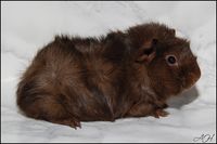 Disturbia2 [200x133]