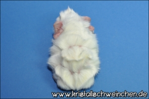 Earls Frosty [320x200]