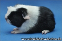 Edge of Glory [320x200] [200x133]