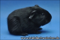 Eternal Flame (2) [320x200] [200x133]