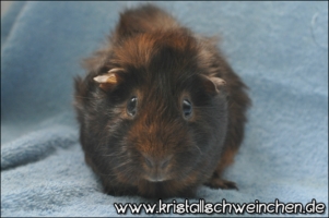 Eternity (2) [320x200]