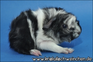 Fuckin' Perfect (2) [320x200]