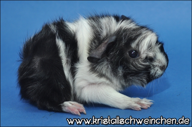 Fuckin' Perfect (2) [640x480]