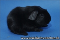 I want it all (2) [320x200] [200x133]