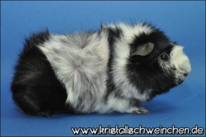 Impressive2 [320x200]