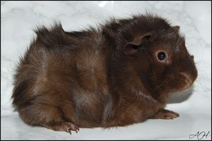 Irresponsible [300x200]