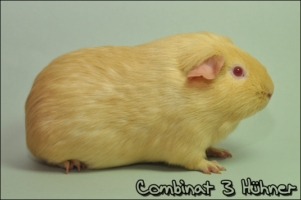 Je veux ton revanche2 [320x200]