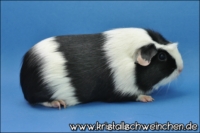 Kaiserschmarrn1 [200x133]