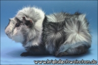 Knock Over1 [200x133]