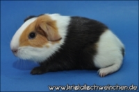 Leave in Silence (2) [320x200] [200x133]