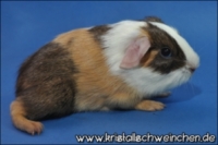 Love the way you lie [320x200] [200x133]