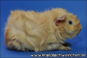 Lovestoned1 [320x200]