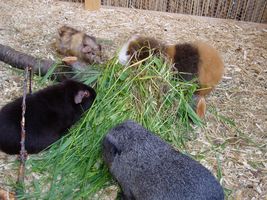 Mahlzeit!01 [300x200]