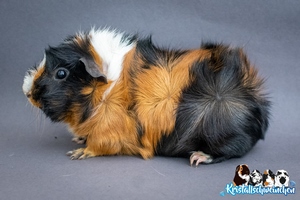 Mary Poppins1 [300x200]