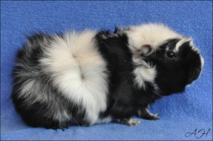 Never Mind1 [320x200]