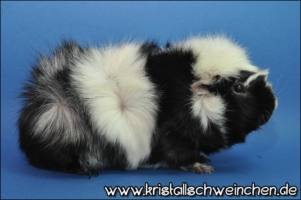 Never Mind2 [320x200]