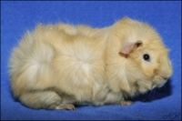 Obsession2 [200x133]