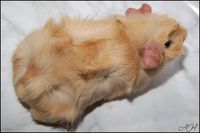 ObsessionO [200x133]