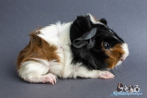 Right but Wrong (1) [300x200]