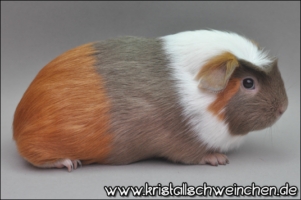 Unlimited Pleasure1 [320x200]