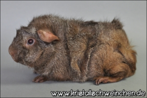 Virtual Reality1 [320x200]