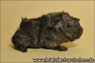 Virtual Reality (2) [400x266]