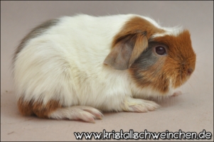 You're beautiful [320x200]