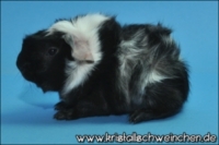 You're number one (2) [320x200] [200x133]