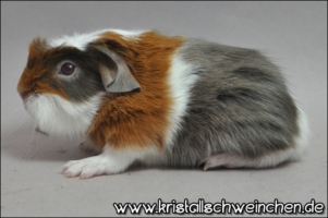 Zeitreise (2) [320x200]