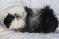 nevermind1__1600x1200_ [200x133]